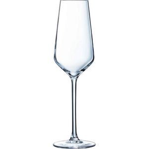 Chef & Sommelier Distinction Champagneglazen - 230ml - 6 Stuks