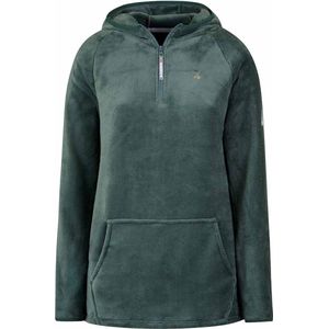 BJØRNSON Rane Micro Fleece - Hoody Trui - Pull-over - Dames - Maat 46 - Groen