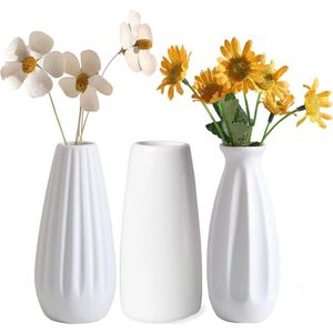 Set van 3 keramische vazen ​​witte vazen ​​decoratief porselein mini bloemenvaas tafelvaas voor pampas grasbloemen gedroogde bloemen moderne vazen ​​voor tafeldecoratie geschenk tulpenvaas keuken kantoor woonkamer 12 cm