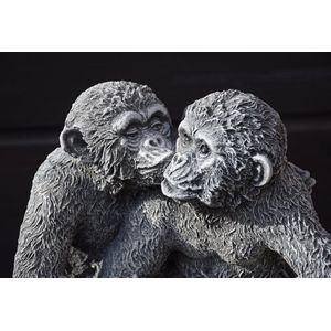Kussende Apen, Verliefde apen