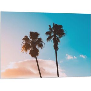 WallClassics - Vlag - Twee Palmbomen voor Wolk - 100x75 cm Foto op Polyester Vlag