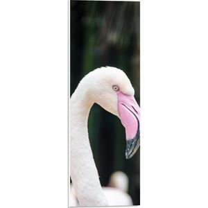 WallClassics - PVC Schuimplaat- Witte Flamingo met Roze Snavel - 20x60 cm Foto op PVC Schuimplaat