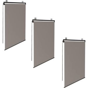 Set van 3 rolgordijnen L 125 x H 225 cm voor pergola taupe