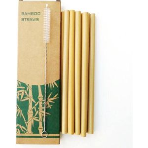 Bamboe rietjes 12 stuks inclusief schoonmaakborstel - Milieuvriendelijk - Duurzaam - Herbruikbaar ♻