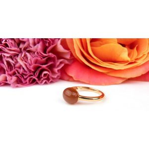 ring in roos goud gezet met bruine maansteen