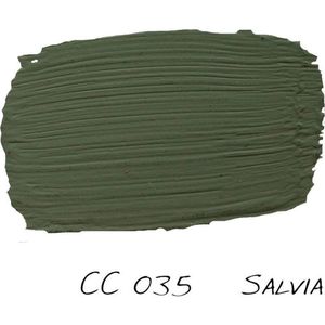 Carte Colori 0,75L Puro Matt Krijtlak Salvia CC035