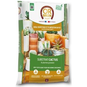 Cactus- en vetplantensubstraat - BRUIN GOUD - OBRTCAC6U - 6L - Bevordert de groei