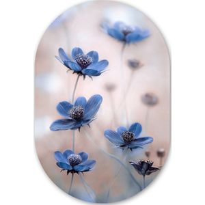 Cosmos - Bloemen - Natuur - Blauw Kunststof plaat (5mm dik) - Ovale spiegel vorm op kunststof