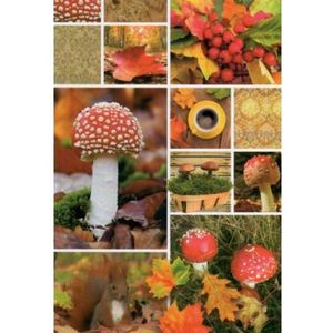 Een mooie wenskaart met diverse afbeeldingen van paddenstoelen. Een dubbele wenskaart inclusief envelop en in folie verpakt. Te gebruiken voor diverse gelegenheden bijvoorbeeld verjaardagen, zomaar, bedankt, afscheid, beterschap, veel geluk etc.