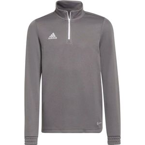 Adidas Entrada 22 Trainingssweater Junior - Maat 152