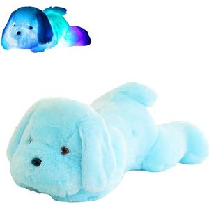 Lichtgevende knuffel - Hond - 30 cm - Blauw - Knuffel met licht - Babyknuffel - Knuffel - Knuffelbeer