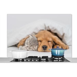 Spatscherm - Kat - Hond - Poes - Honden - Deken - Dieren - 120x80 cm - Keuken decoratie - Muurbeschermer - Spatwand keuken - Spatscherm dieren