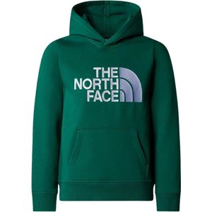 The North Face Drew Peak P/O Casual Sweater Jongens Groen 140