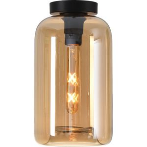 Plafondlamp Botany Amber - Ø18cm - E27 - IP20 - Dimbaar > plafoniere amber glas | plafondlamp amber glas | plafondlamp eetkamer amber glas | plafondlamp keuken amber glas | led lamp amber glas | sfeer lamp amber glas