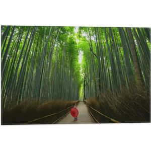 WallClassics - Vlag - Bamboe Bomen met Japanse Paraplu - 60x40 cm Foto op Polyester Vlag