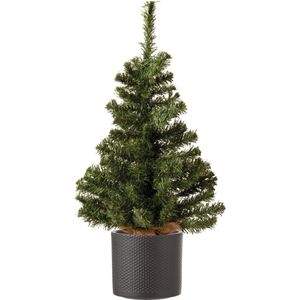 Volle mini kerstboom groen in jute zak 60 cm - Inclusief donkergrijze plantenpot 12,5 x 13,5 cm - Kunstboompjes