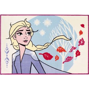 Disney Frozen 2 Vloerkleed - 80 x 120 cm - Multi