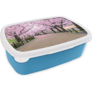 Broodtrommel Blauw - Lunchbox - Brooddoos - Sakura - Lente - Japan - 18x12x6 cm - Kinderen - Jongen