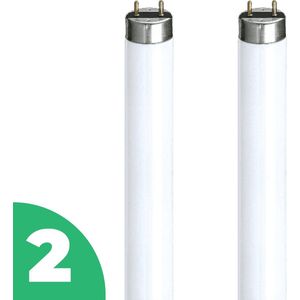 Radium TL-Buis G5 - 8W (TL Mini, Lumilux) - Koel Wit Licht - Niet Dimbaar - 2 stuks