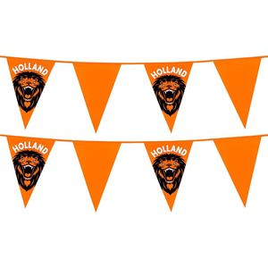 Vlaggenlijn - 2x - oranje met leeuw - 6 meter - 15 vlaggen - kunststof