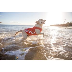 EzyDog Rashies Shirt voor Honden - Hondenkleding - 30cm - Rood
