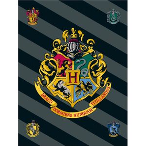 Harry Potter Hogwarts Sprei/Deken 100x150 cm, OEKO-TEX