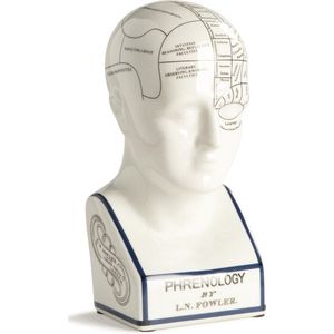 Authentic Models - Frenologie Hoofd ""Phrenology Head"" 29 x 16 x 14cm