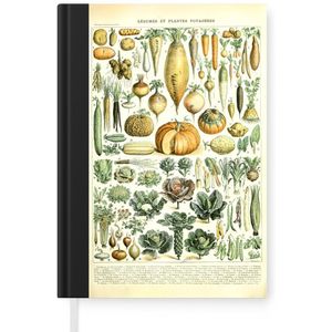 Notitieboek - Schrijfboek - Vintage - Groenten - Wortel - Kunst - Adolphe Millot - Oranje - Notitieboekje klein - A5 formaat - Schrijfblok