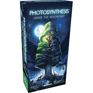 Photosynthesis Under The Moonlight