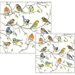 Ambiente servetten - Birds - 2 pakjes 33x33cm en 25x25cm - wit geel oranje bruin blauw - tuinvogels