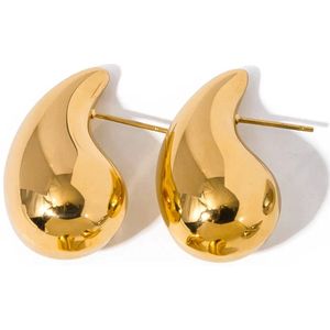 Druppel Oorbellen - Goudkleurig | 3,1 x 1,7 cm | Stainless Steel / Goldplated | Fashion Favorite