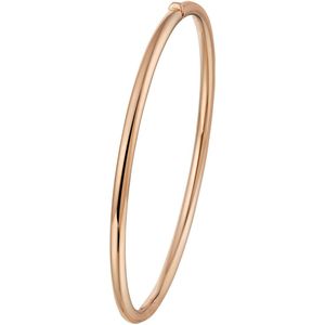 Bangle Scharnier Ronde Buis 3 X 60 Mm