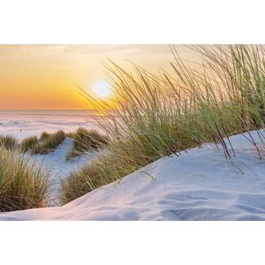 Inductie beschermer | Terschellingse duinen | 86 x 53 cm | Breng de natuur in je keuken met onze Inductie Beschermer | Terschellingse Duinen. Stijlvol, duurzaam en PVC-vrij. Perfect voor een hygiënische, moderne en eco-vriendelijke keuken!