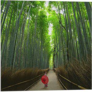 WallClassics - Vlag - Bamboe Bomen met Japanse Paraplu - 50x50 cm Foto op Polyester Vlag
