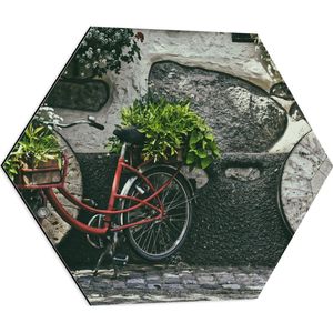 WallClassics - Dibond Hexagon - Rode Fiets versierd met Planten tegen Stenen Muur - 60x52.2 cm Foto op Hexagon (Met Ophangsysteem)