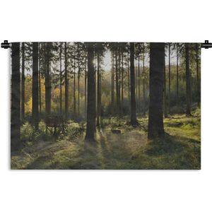 Wandkleed Bos - Een bosrijke omgeving op zonnige dag Wandkleed katoen 180x120 cm - Wandtapijt met foto XXL / Groot formaat!