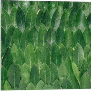 WallClassics - Vlag - Groene Blaadjes - 50x50 cm Foto op Polyester Vlag