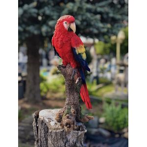 Papegaai op stam middel rood levensecht 39 cm hoog - polyester - polystone - beeld - tuinbeeld - hoogkwalitatieve kunststof - decoratiefiguur - interieur - accessoire - voor binnen - voor buiten - cadeau - geschenk
