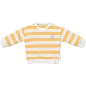 Little Dutch Little Farm Sunny Yellow Stripes - Trui - Maat 86