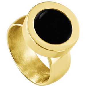 Quiges RVS Schroefsysteem Ring Goudkleurig Glans 18mm met Verwisselbare Agaat Zwart 12mm Mini Munt