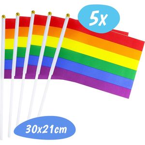 Pride Vlaggetjes - Regenboog - 30x21 CM - 5 Stuks - LGBTQ+