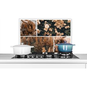 Spatscherm keuken 70x50 cm - Kookplaat achterwand Schotse hooglander - Bloemen - Planten - Bruin - Muurbeschermer - Spatwand fornuis - Hoogwaardig aluminium