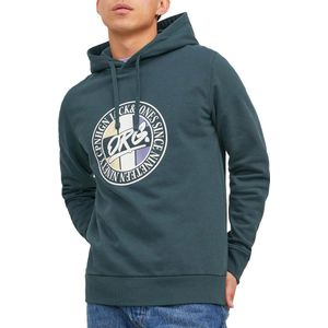 Jack & Jones Arthur Hoodie Heren