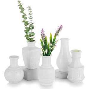 Vaas Wit Glas Kleine, Witte Decoratieve Vazen Set van 5 Mini Bloemenvazen Moderne Handgemaakte Esthetische Glazen Vaas Vintage voor Bruiloft Tafeldecoratie Woonkamer voor Blomus Gedroogde Bloemen Roos