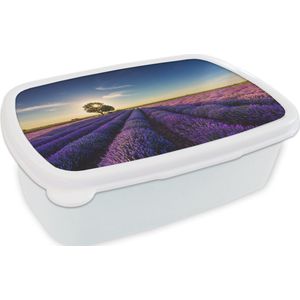 Broodtrommel Wit - Lunchbox - Brooddoos - Lavendel - Zon - Boom - Bloemen - Paars - 18x12x6 cm - Volwassenen