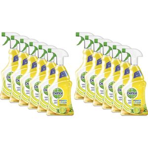 Dettol Allesreinger Spray Power & Fresh Spray Citroen - 12 x 750 ml - Voordeelverpakking
