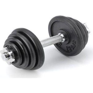 Dumbbell Focus Fitness - 15 kg
