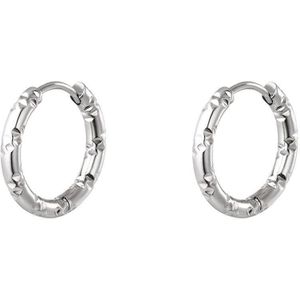 Oorbellen van roestvrij staal - Yehwang - Oorringen - One size - Zilver