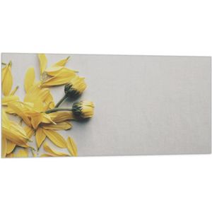 WallClassics - Vlag - Gele Bloemen met Losse Bloemblaadjes op Witte Achtergrond - 100x50 cm Foto op Polyester Vlag