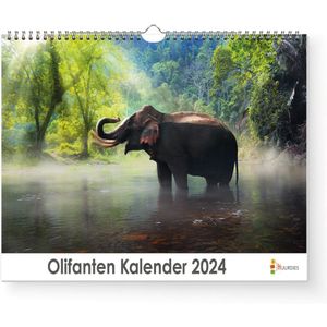 XL 2024 Kalender - Jaarkalender - Olifant